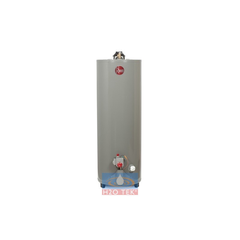 Calentador de deposito de gas lp 152 litros 4 servicios Rheem