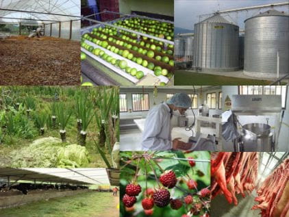 Implementación de calentador solar en la industria alimentaria